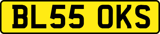 BL55OKS