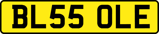 BL55OLE