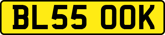 BL55OOK