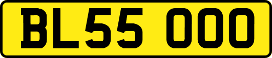 BL55OOO