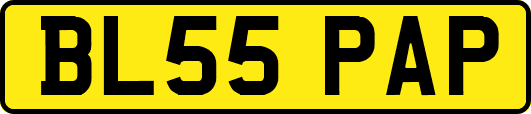 BL55PAP