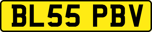 BL55PBV