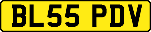 BL55PDV