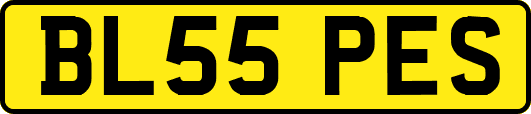 BL55PES