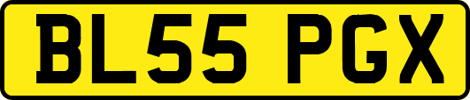 BL55PGX