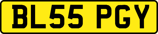 BL55PGY