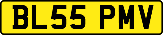 BL55PMV