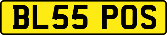 BL55POS