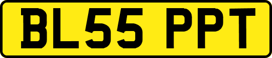 BL55PPT
