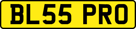 BL55PRO