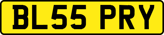 BL55PRY