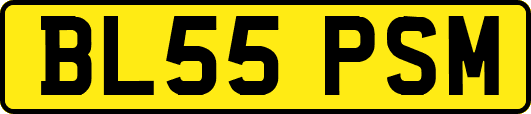 BL55PSM