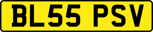 BL55PSV