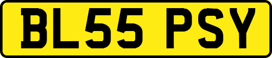 BL55PSY