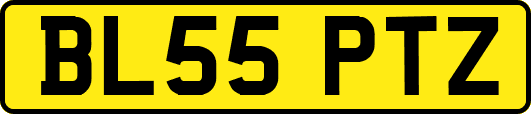 BL55PTZ