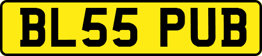 BL55PUB