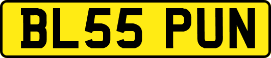 BL55PUN