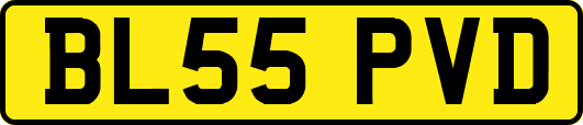BL55PVD