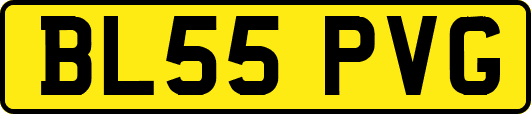 BL55PVG