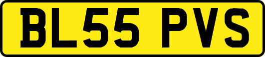 BL55PVS