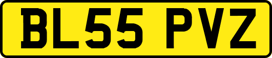 BL55PVZ
