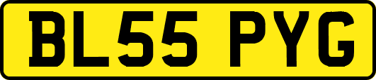 BL55PYG