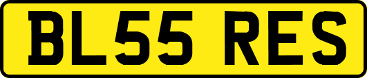 BL55RES