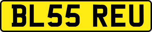 BL55REU