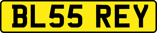 BL55REY