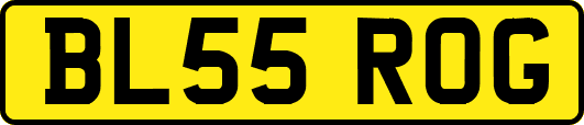 BL55ROG