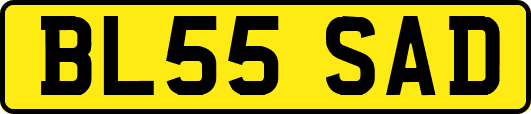 BL55SAD