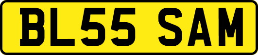 BL55SAM