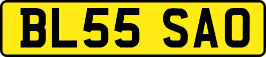 BL55SAO