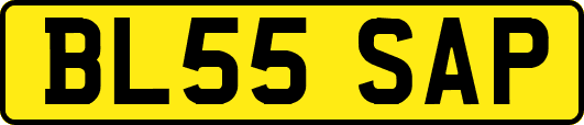 BL55SAP