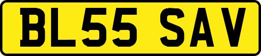 BL55SAV