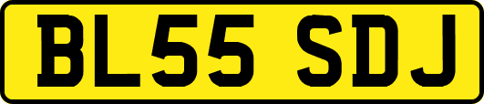 BL55SDJ