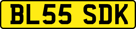 BL55SDK