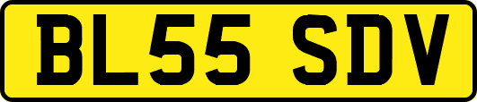 BL55SDV