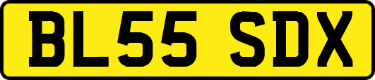 BL55SDX