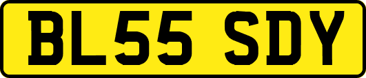 BL55SDY