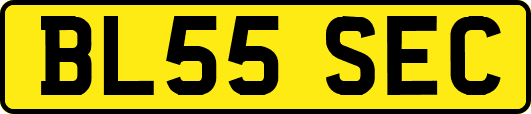 BL55SEC