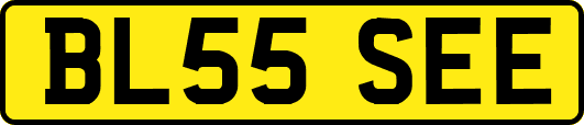 BL55SEE