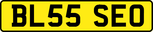 BL55SEO