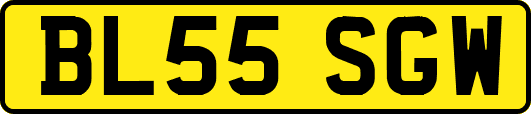 BL55SGW