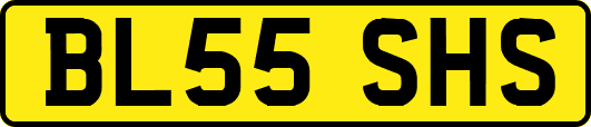 BL55SHS