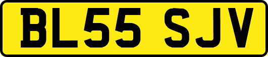 BL55SJV