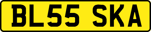 BL55SKA