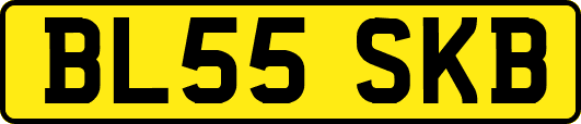 BL55SKB