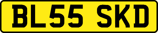 BL55SKD