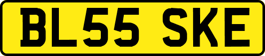 BL55SKE
